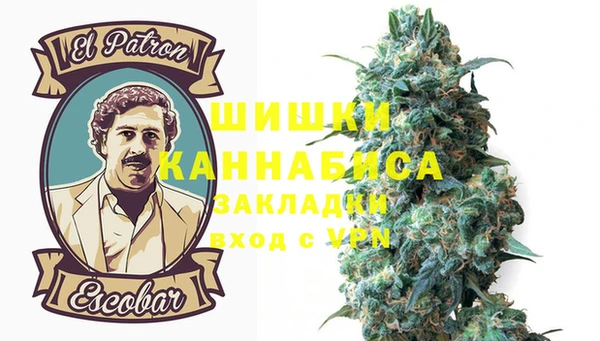 СК Аркадак