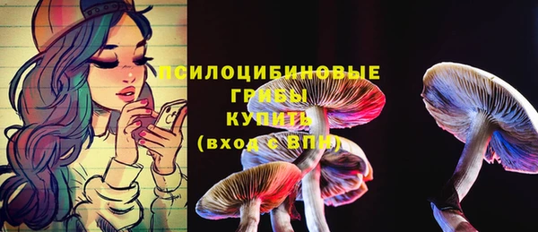apvp Арсеньев